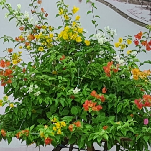hoa giấy Zapchi logo