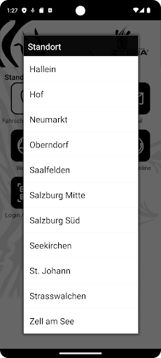 Fahrschule Zebra Screen 2