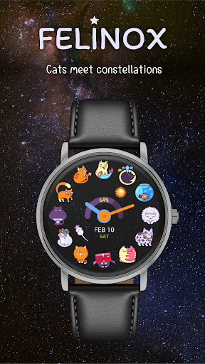 Felinox Watch Face