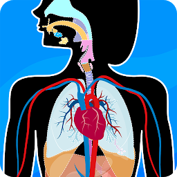 Obrázok ikony Human Anatomy - Body parts