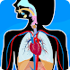 Human Anatomy - Body parts - Androidアプリ