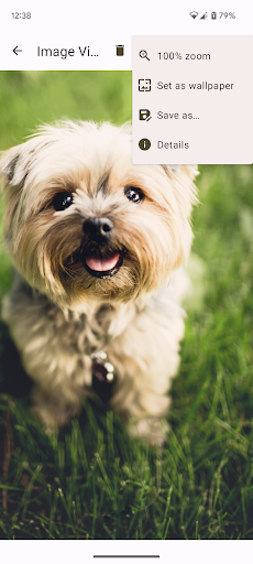 Image Viewer Screen 3