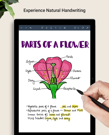 Noteshelf: Tome notas | Escritura a mano | Anotar PDF