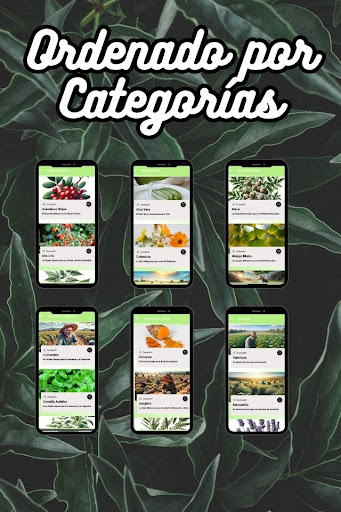 Plantas Medicinales Screen 3
