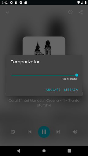 Radiouri creștin ortodoxe Screen 3