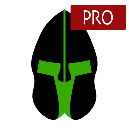 Paladin VFR Pro