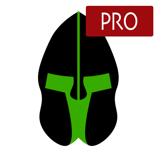 Paladin VFR Pro logo