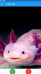 Axolotl call simulator