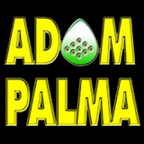 Adam Palma - Guitar Lessons icon