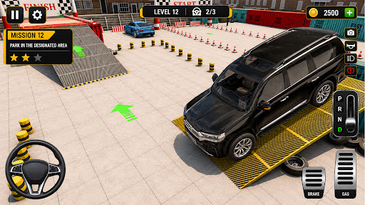Prado Car Parking screenshot