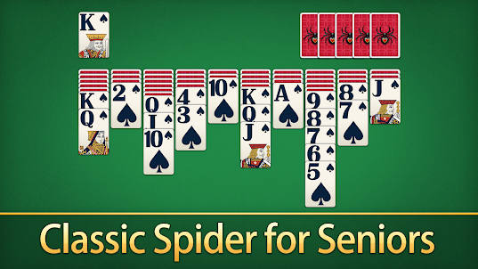Spider Solitaire for Seniors