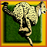 PIPO: Cheetah Run Adventure icon