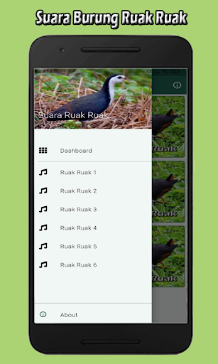 Suara Burung Ruak Ruak Malam