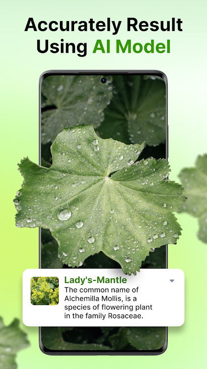 PlantThis Identifier - 4.0.4 - (Android)
