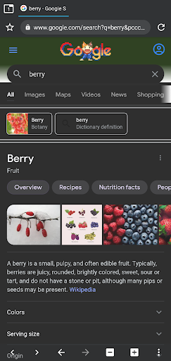 Berry Browser android2mod screenshots 4