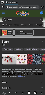 Berry Browser 3.45.32 screenshots 4