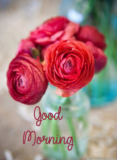 GoodMorning Images GIF 2023 Screen 2