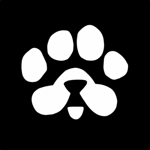 Paws coin - Tap To Earn Download on Windows