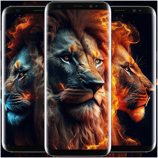 Lion Wallpaper Download on Windows