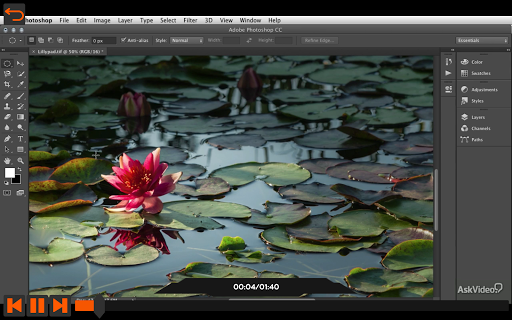 Selection and Masking Course for