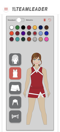 TeamLeader Screen 3
