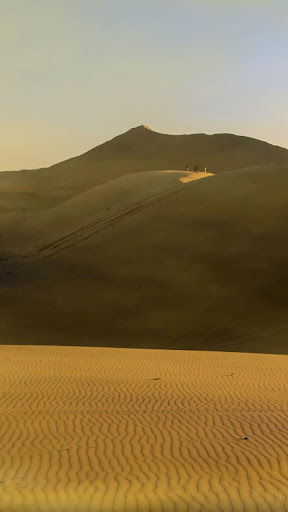 Android application sahara wallpaper screenshort