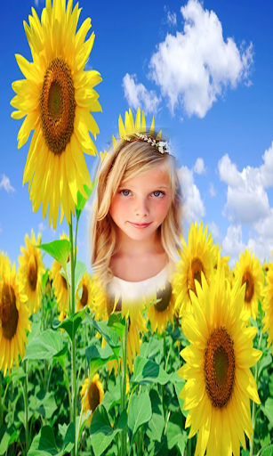 Sunflower Photo Frames HD