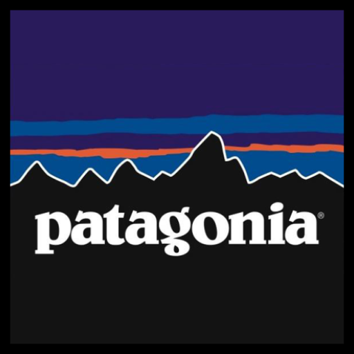 Patagonia 360Learning  Icon