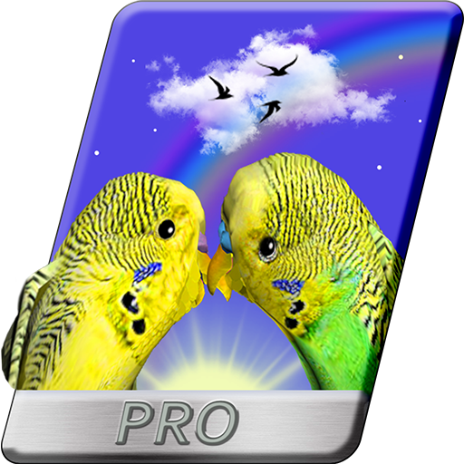 PRO Parrots 3D Live Wallpaper logo