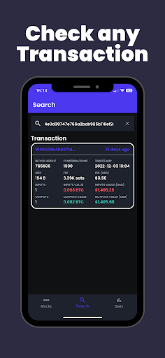 Bitcoin Block Explorer 3