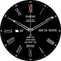 MIMIX MX Platinum S1 Watchface