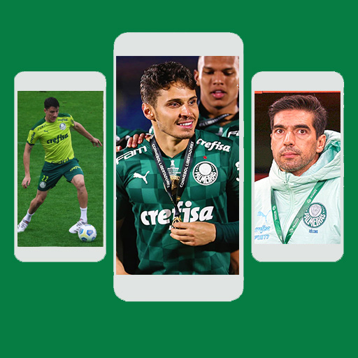 Palmeiras Papel de Parede - HD Laai af op Windows