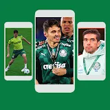 Palmeiras Papel de Parede - HD icon