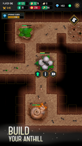 Ant Colony Simulator Screen 2