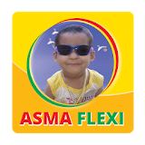 AsmaFlexi icon