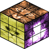 Cats Rubik's Cube icon