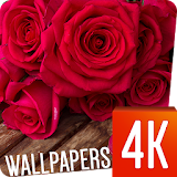 Flowers wallpapers 4k icon