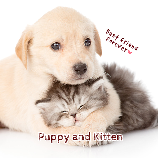Puppy and Kitten Theme  Icon
