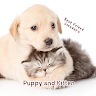 Cute Animal Wallpaper Puppy and Kitten Theme