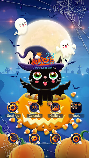 Android application Cute Cat on Pumpkin- Wallpaper screenshort