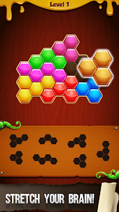 Hexa-mazing Fun: Block Puzzle