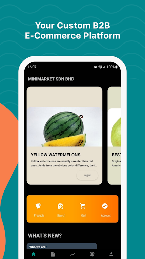 App preview