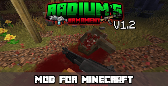 Radius Armament add-on MCPE
