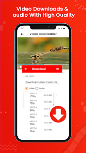 Video & Music Downloader App