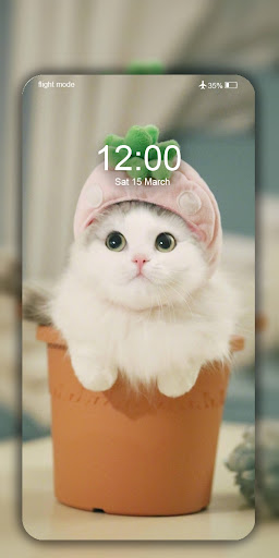 Cute Cat Wallpaper Live HD 4K screenshot 5
