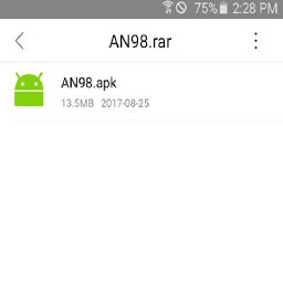 AN98: Download & Review