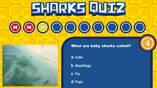 Shark Quiz Screen 3
