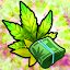 Hempire: Plant Growing Game 2.21.4 (Uang tidak terbatas)