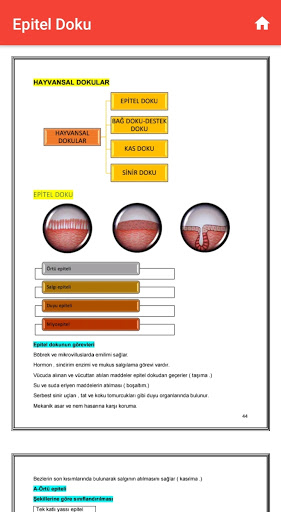 Histoloji Notları - Histoloji Screen 3