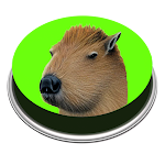 Cover Image of ดาวน์โหลด Capybara Song | Meme  APK